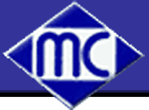AMETALCAUCHO